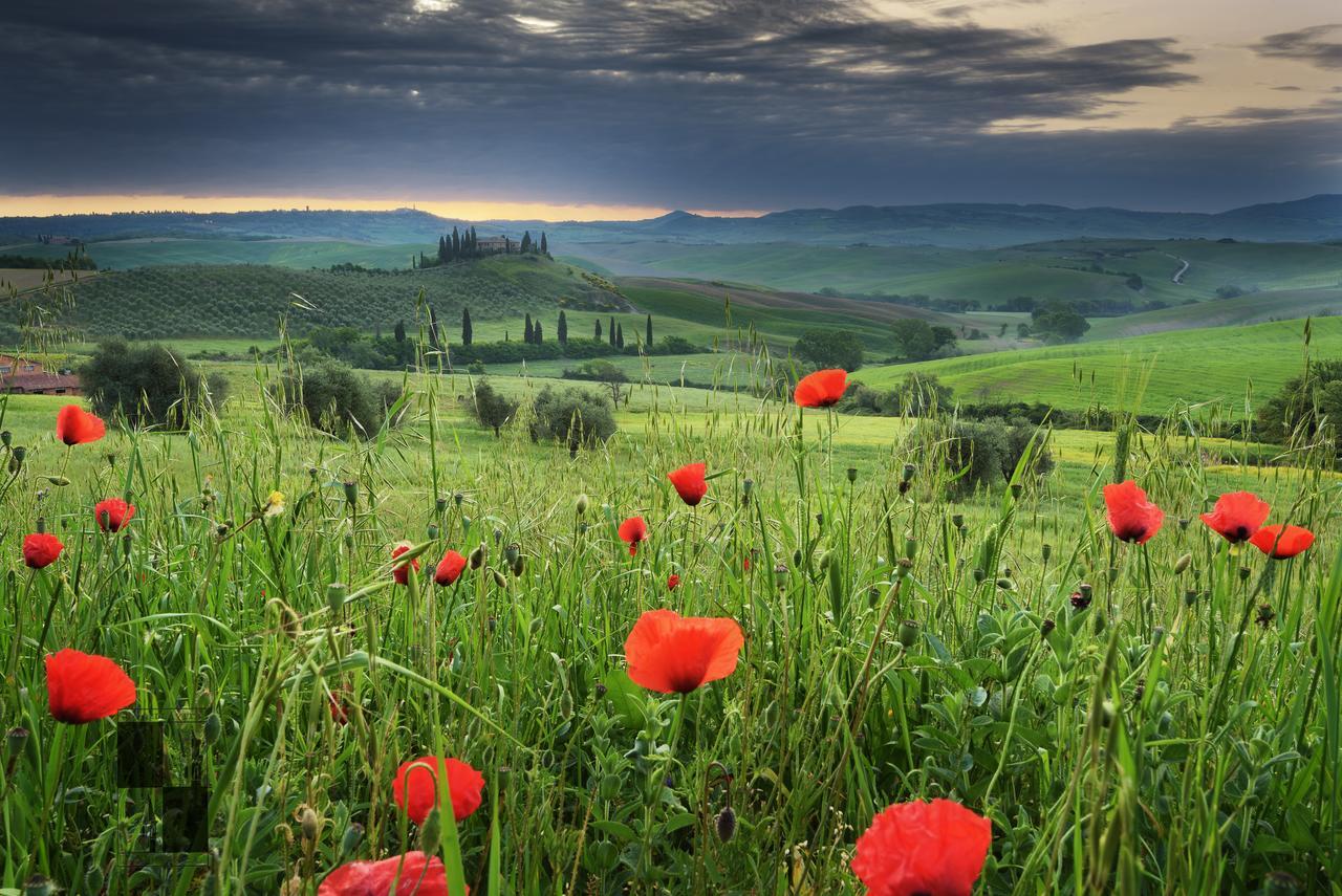 La Bellavita B&B Pienza Buitenkant foto